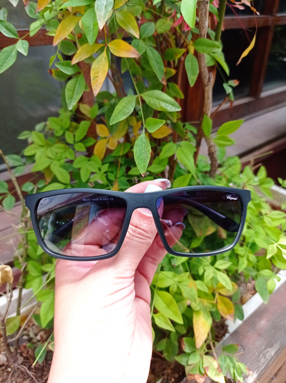 خوشبخت کسی که این بخره